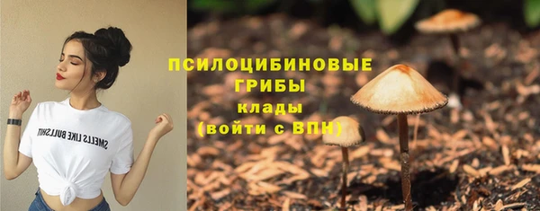 первитин Белоозёрский