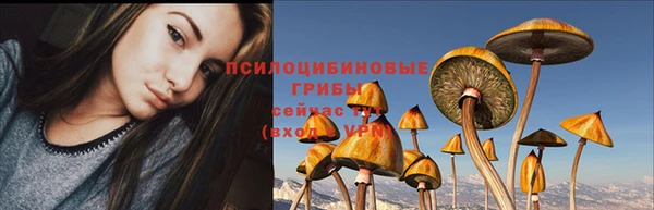 первитин Белоозёрский