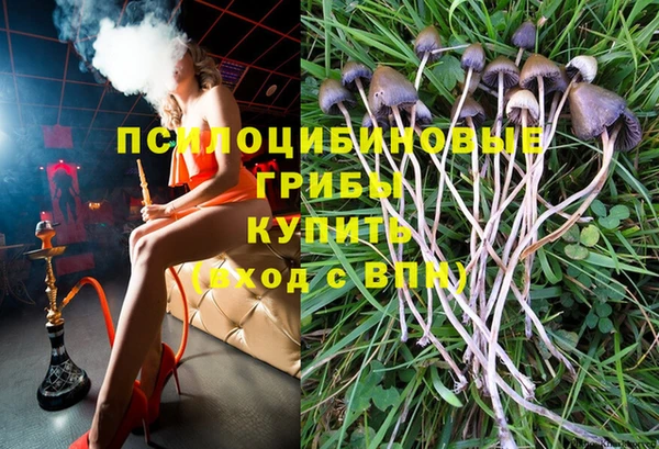 ALPHA PVP Беломорск