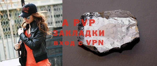 прущие грибы Сосновый Бор